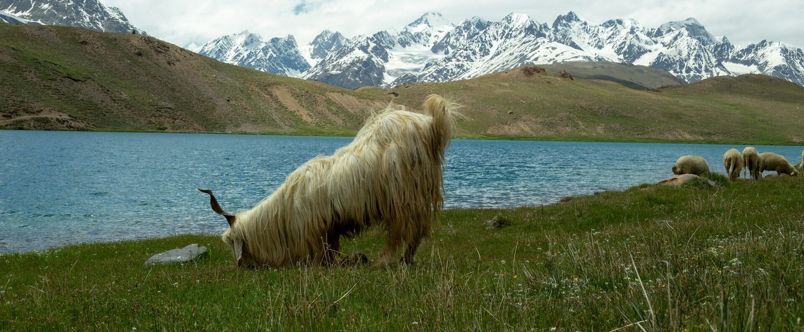 Conseils Pratiques pour voyage au Ladakh
