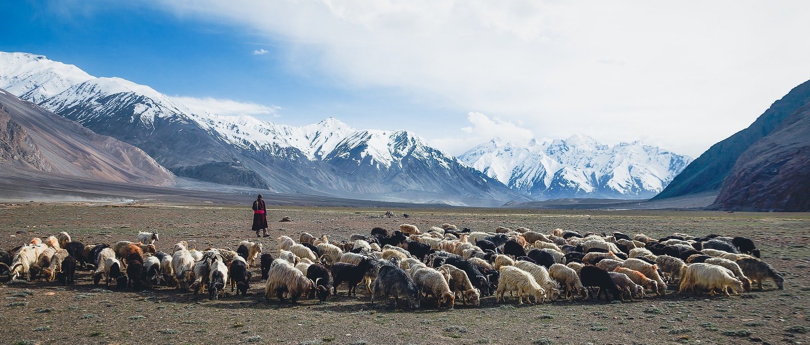 circuit Zanskar Ladakh