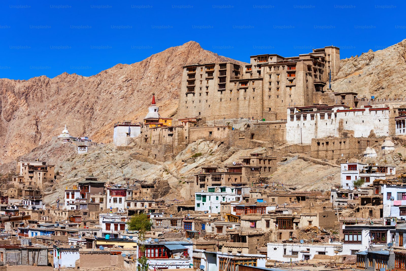 Circuit culturel de Ladakh