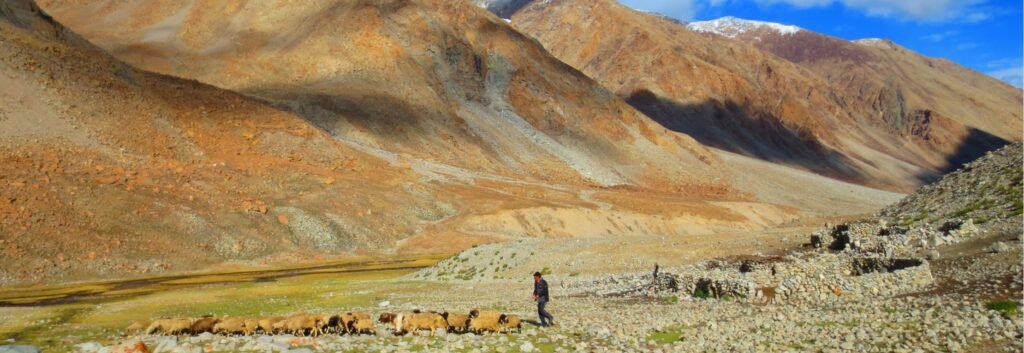 Trek de vallee de Nubra